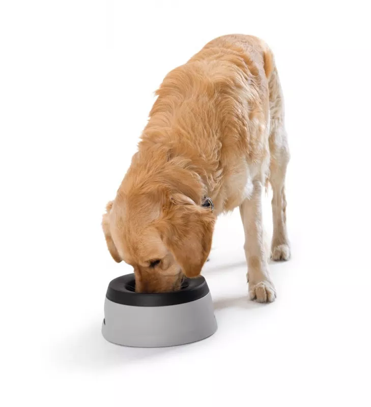 Reisenapf Road Refresher